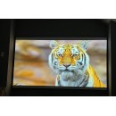 Epson Home Cinema LS11000 Laser Projector